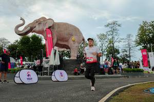 BIB: 
                            <button type="button" onclick="openModal(26528870)" class="btn btn-primary btn-sm float-right btn-popup" data-toggle="modal" data-target=".modal-high-quality">
                        <i class="fas fa-shopping-cart"></i> Add to Cart
                    </button>
                                            <button type="button" onclick="isThisMe(26528870, true)" class="btn btn-success btn-sm float-right btn-popup btn-isme hidden" data-toggle="tooltip" data-placement="bottom" title="นี่คือรูปของคุณใช่ไหม คลิกที่นี่เพื่อเอาเข้าอัลบั้ม">
                        <i class="fas fa-plus"></i> Add to album
                    </button>
                    <button type="button" onclick="isThisMe(26528870, false)" class="btn btn-warning btn-sm float-right btn-popup btn-isnotme hidden">
                        <i class="fas fa-ban"></i> Remove from album
                    </button>